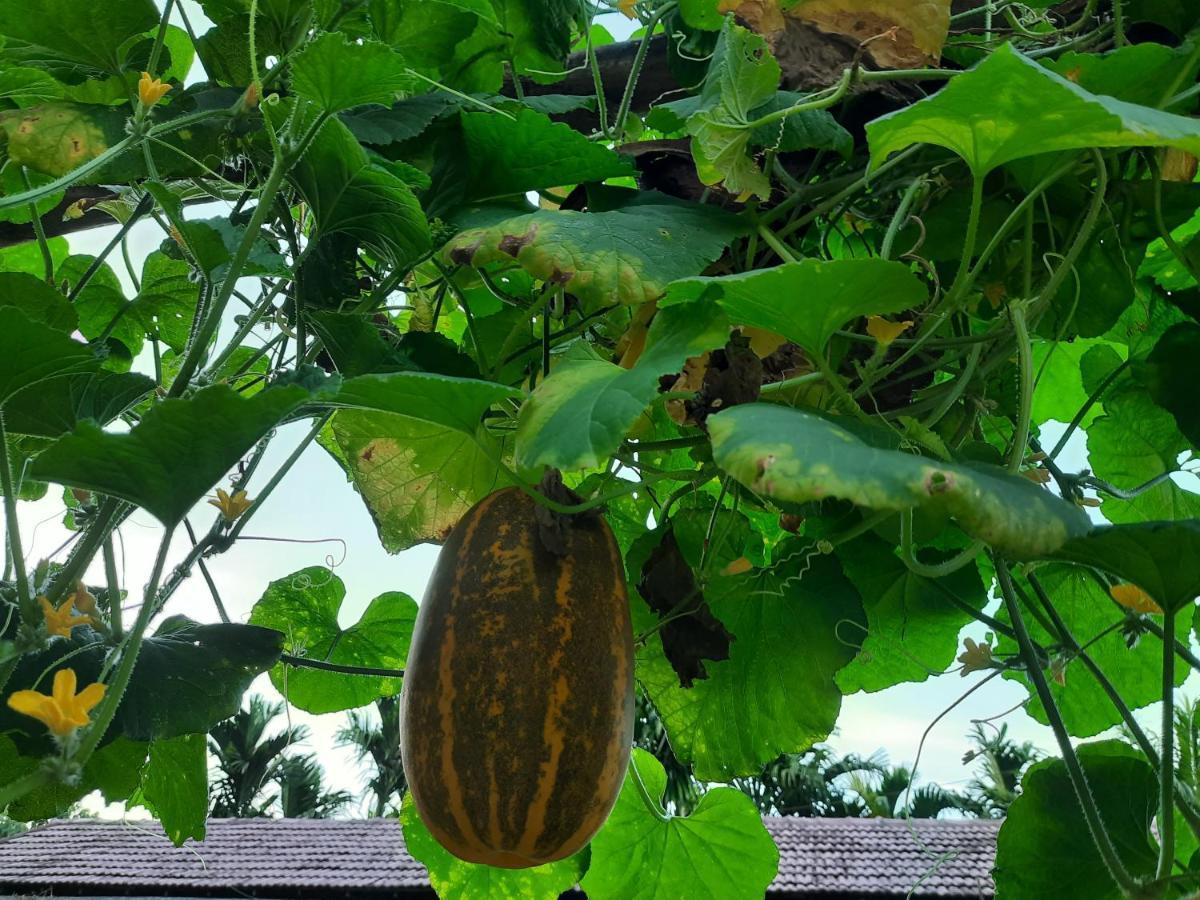 Jasmine Land Homestay 乌杜皮 外观 照片